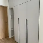 公寓 Dainas 里加