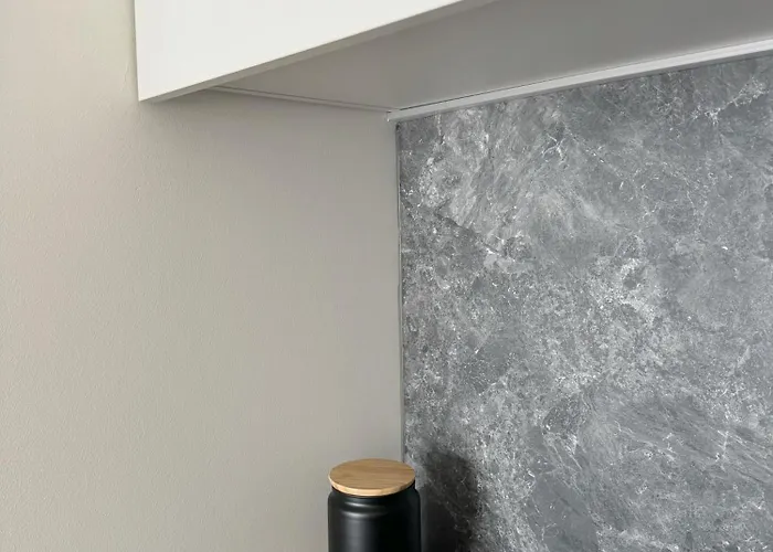 Dainas 아파트 리가